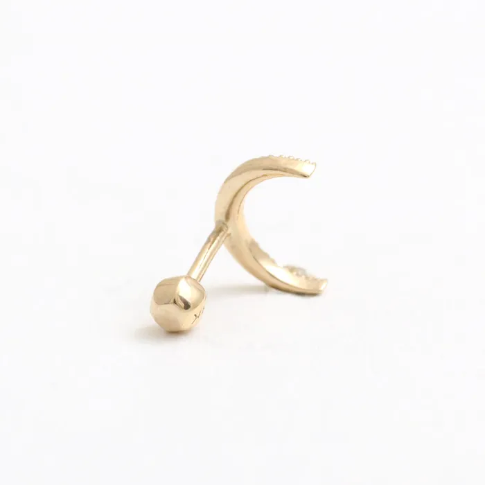 from J Shop Earrings CZ Pave Crescent Ear Piercing