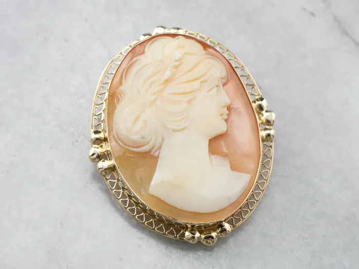 Gold Retro Era Cameo Pin or Pendant Market Square Jewelers PreStyled Sets