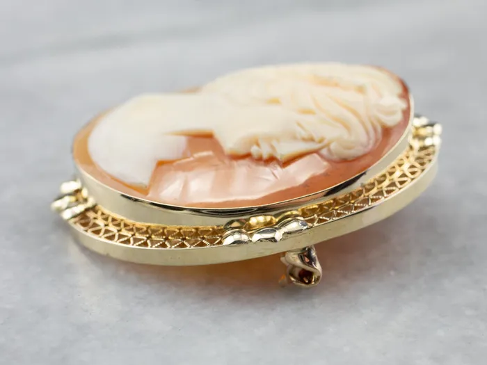 Gold Retro Era Cameo Pin or Pendant Market Square Jewelers PreStyled Sets Gold Retro Era Cameo Pin or Pendant Market Square Jewelers PreStyled Sets