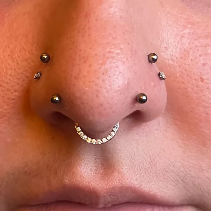 OUFER BODY JEWELRY 16G Crystal CZ Titanium Hinged Segment Septum Ring Rings OUFER BODY JEWELRY 16G Crystal CZ Titanium Hinged Segment Septum Ring Rings
