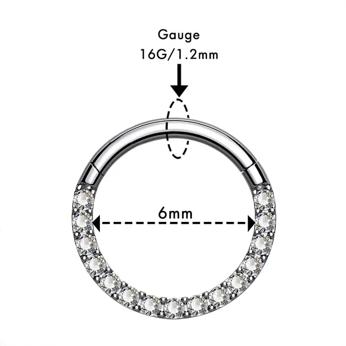 OUFER BODY JEWELRY 16G Crystal CZ Titanium Hinged Segment Septum Ring Rings OUFER BODY JEWELRY 16G Crystal CZ Titanium Hinged Segment Septum Ring Rings