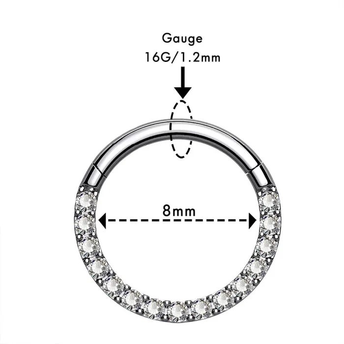 OUFER BODY JEWELRY 16G Crystal CZ Titanium Hinged Segment Septum Ring Rings OUFER BODY JEWELRY 16G Crystal CZ Titanium Hinged Segment Septum Ring Rings