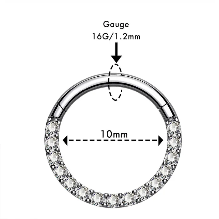 OUFER BODY JEWELRY 16G Crystal CZ Titanium Hinged Segment Septum Ring Rings OUFER BODY JEWELRY 16G Crystal CZ Titanium Hinged Segment Septum Ring Rings