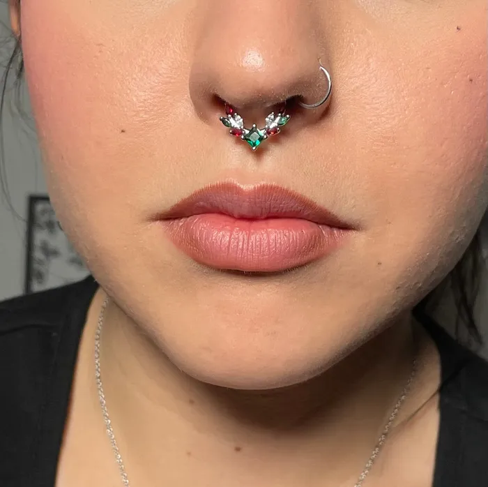OUFER BODY JEWELRY Rings 16G Christmas Gem Hinged Segment Septum Ring OUFER BODY JEWELRY Rings 16G Christmas Gem Hinged Segment Septum Ring