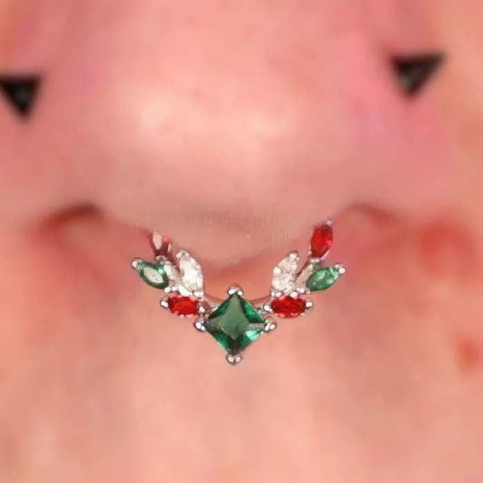 OUFER BODY JEWELRY Rings 16G Christmas Gem Hinged Segment Septum Ring OUFER BODY JEWELRY Rings 16G Christmas Gem Hinged Segment Septum Ring