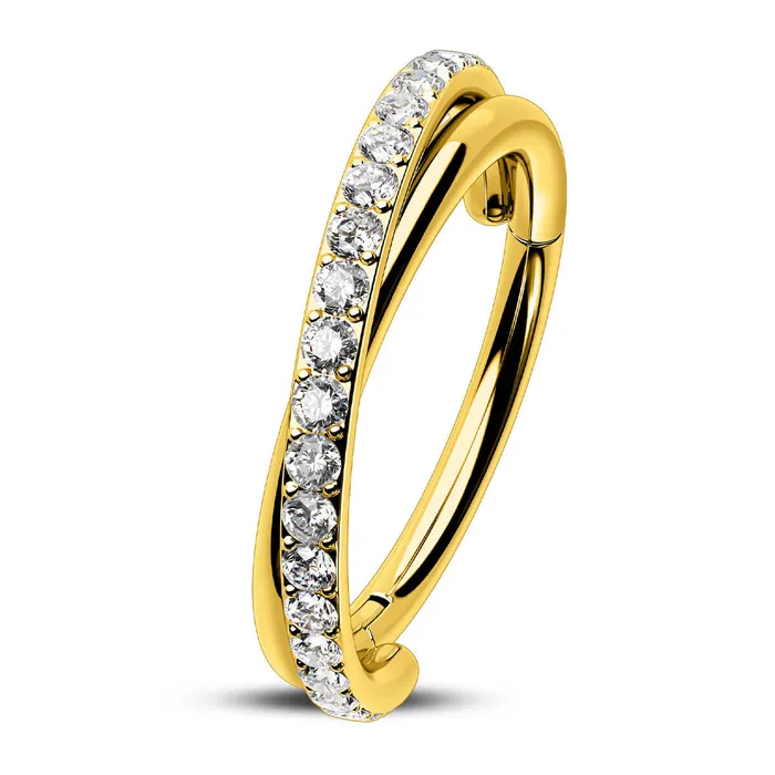 OUFER BODY JEWELRY Rings 18G CZ Hinged Segment Entwine Nose Ring Cartilage Earring OUFER BODY JEWELRY Rings 18G CZ Hinged Segment Entwine Nose Ring Cartilage Earring